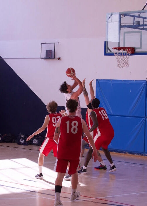 Gieffe SBA - Novara Basket